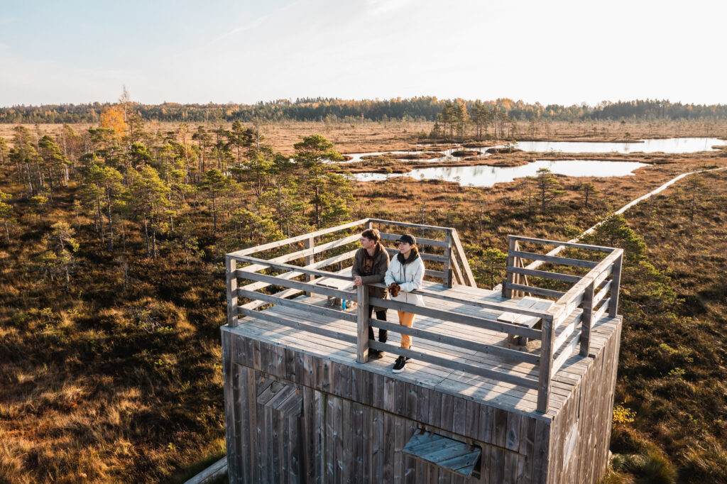 Nigula raba, Pärnumaal, Priidu Saart