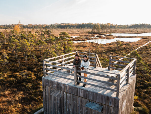 Nigula raba, Pärnumaal, Priidu Saart