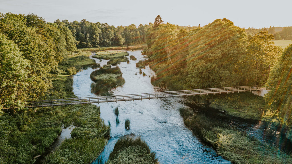 Navesti jõgi