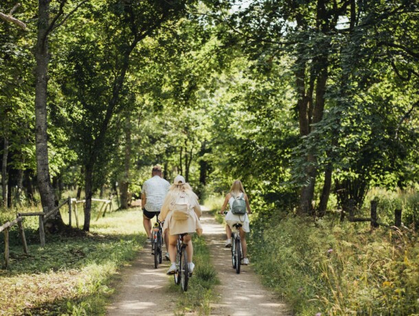 259348-abruka-web-version-1920px