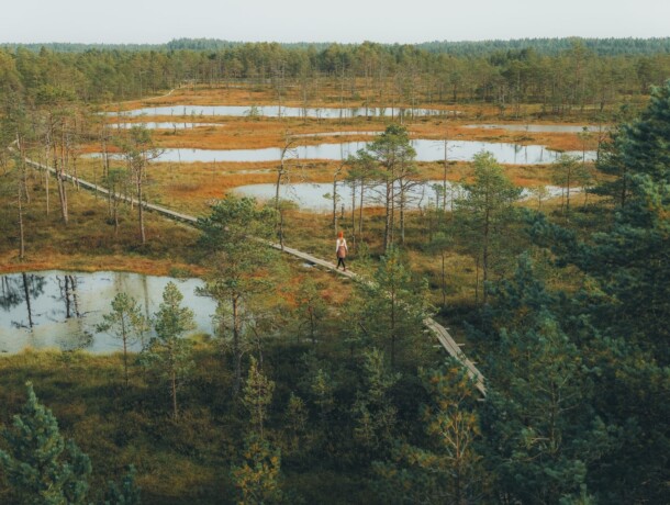 657041-selisoo-nature-trail-web-version-1920px