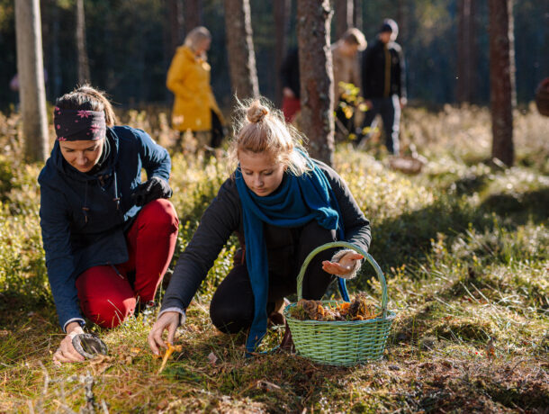 soomaacom-seeneretked-015-visit-estonia