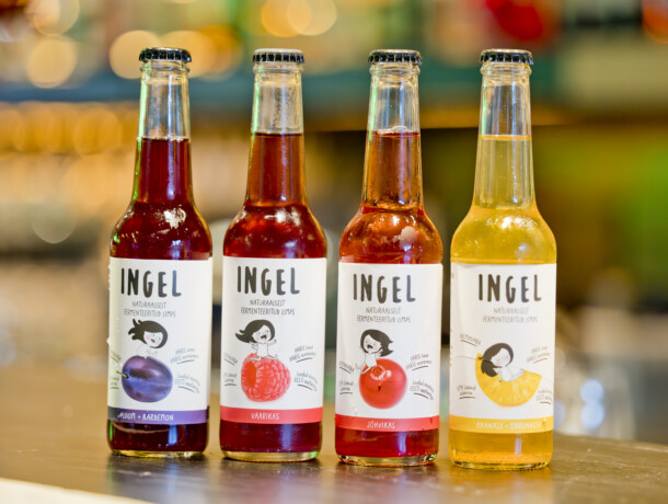 Pärnumaa joogitootjad