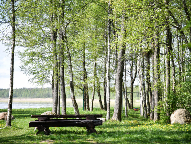 Tõhela Järv