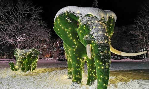 Pärnu elevandid jõulutuledes