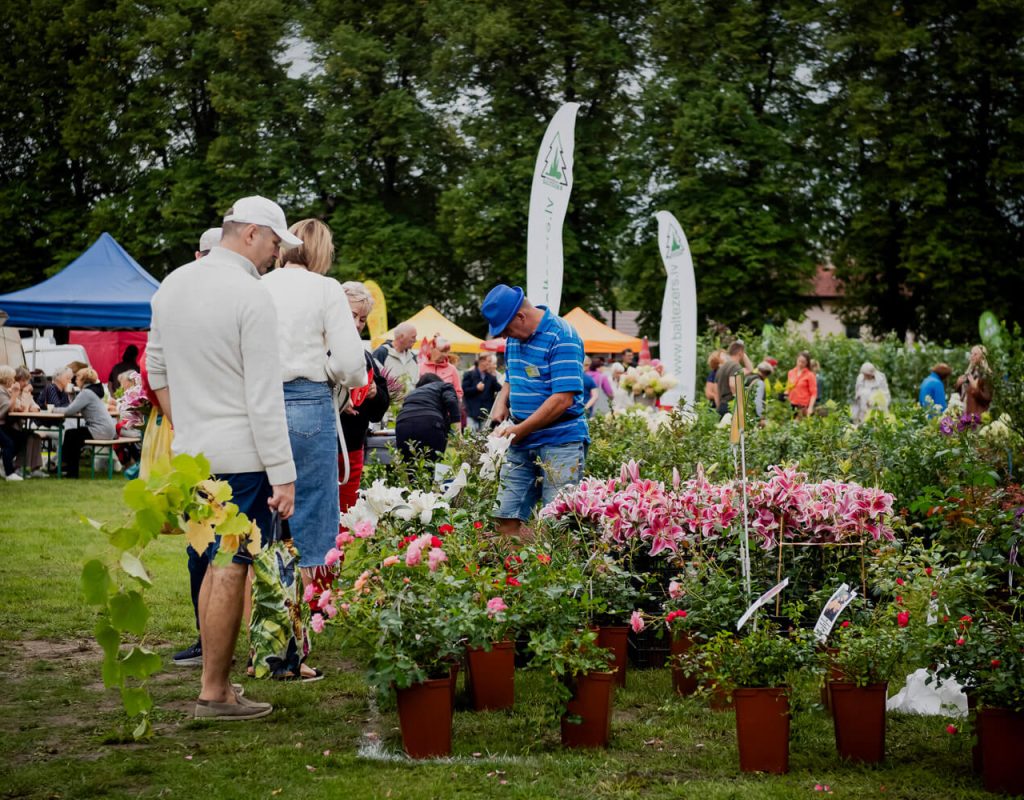 Pärnu taimelaat