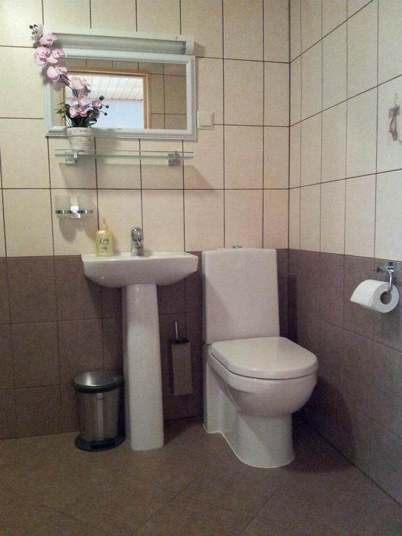 Lavatory with a shower stall