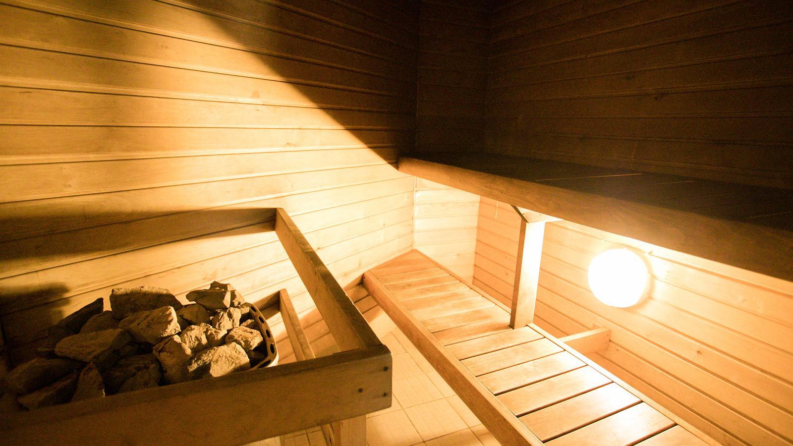 Viisnurga Puhkemajad - saunamaja leiliruum