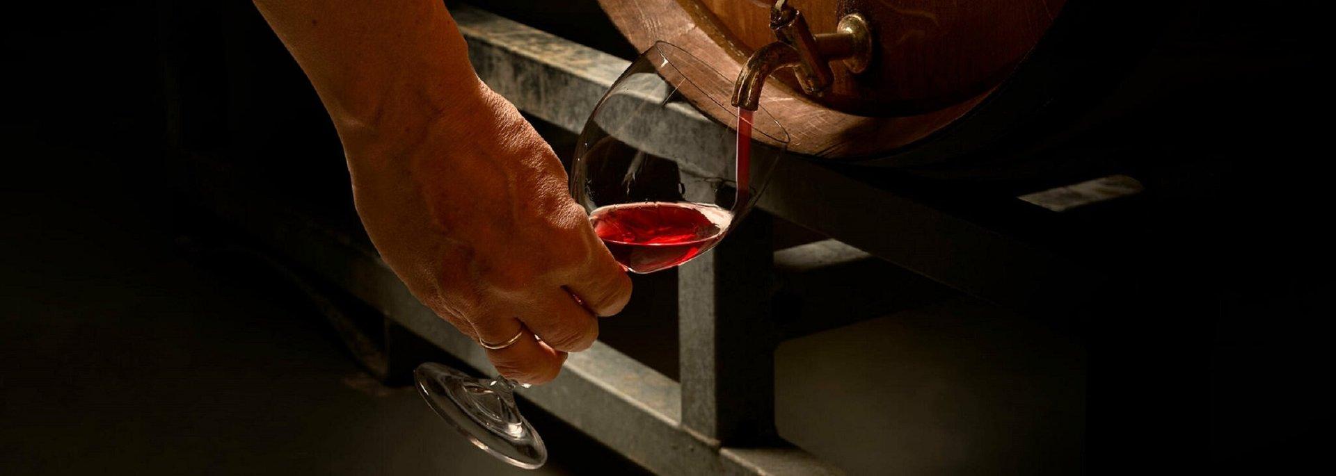 Экскурсия и дегустация на винной мызе Поотси