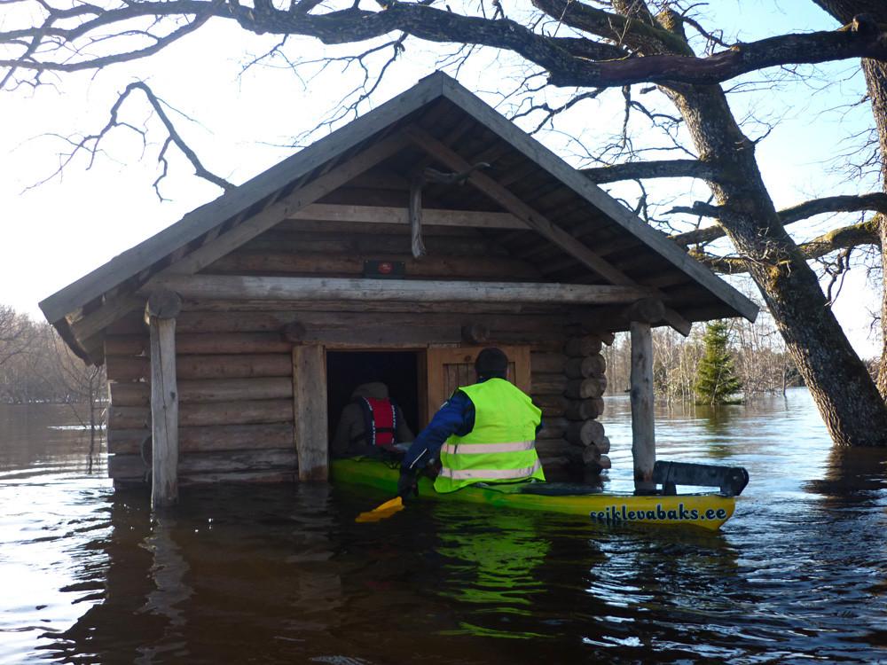 Freedom of Adventure: kayaking on the flooded area in Soomaa