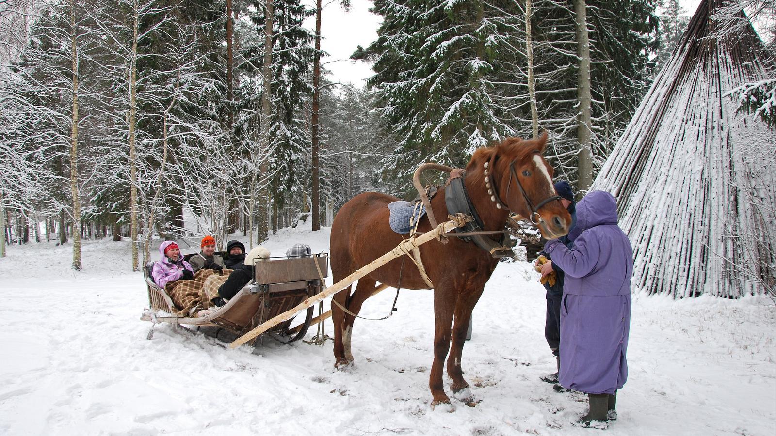 Sleigh ride in the wintery nature at Pärnu County