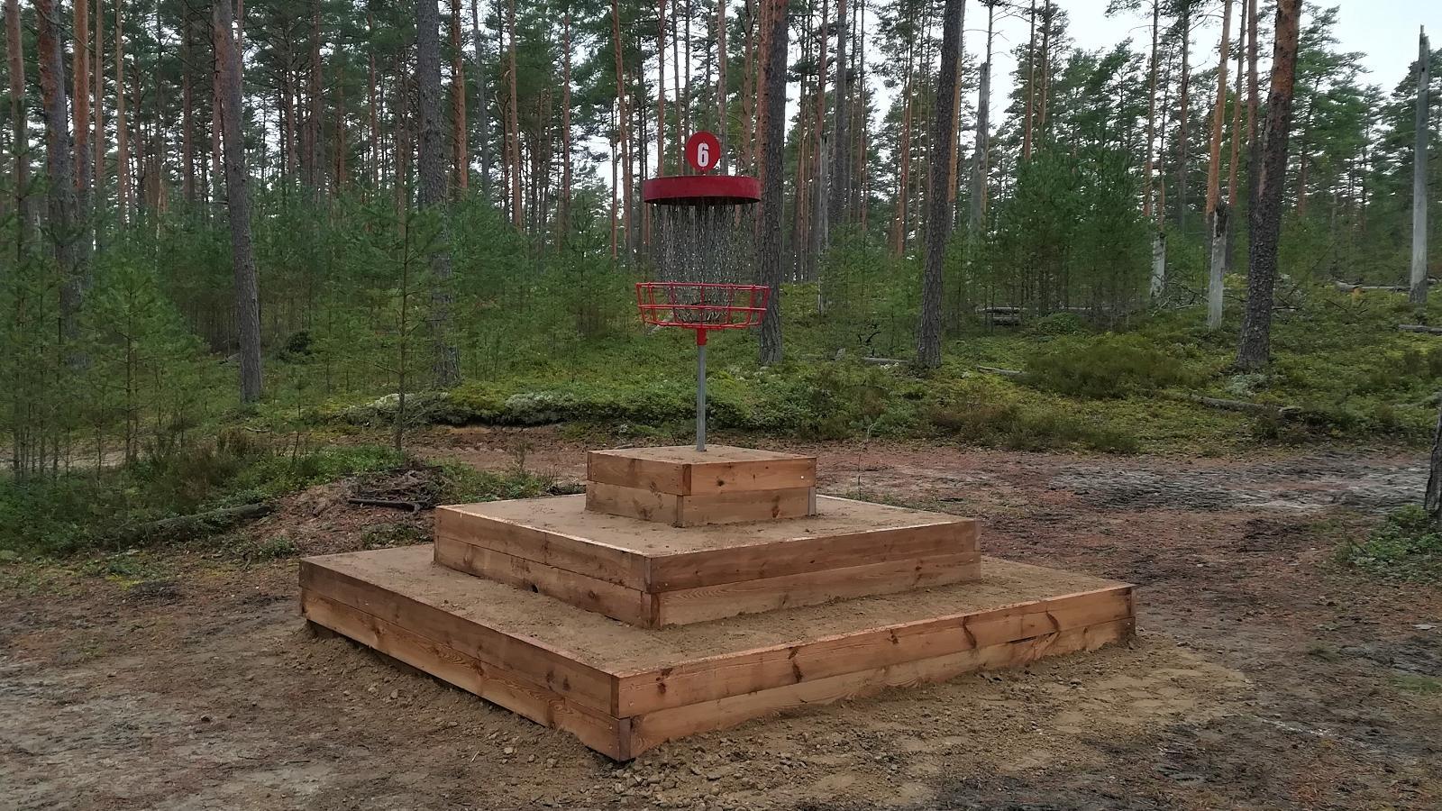 Disc golf at the Jõulumäe Sports and Recreation Centre