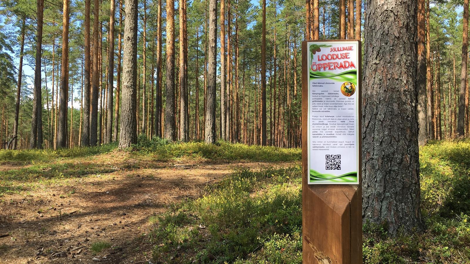 Hiking Trails of Jõulumäe Recreational Sports Centre