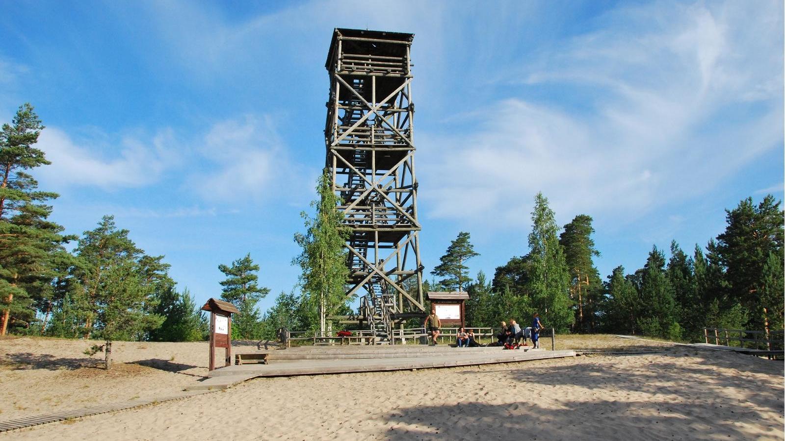 Jõulumäe 25 km matkarada viib Eesti kõrgeima luite Tornimäe harjale rajatud vaatetornini