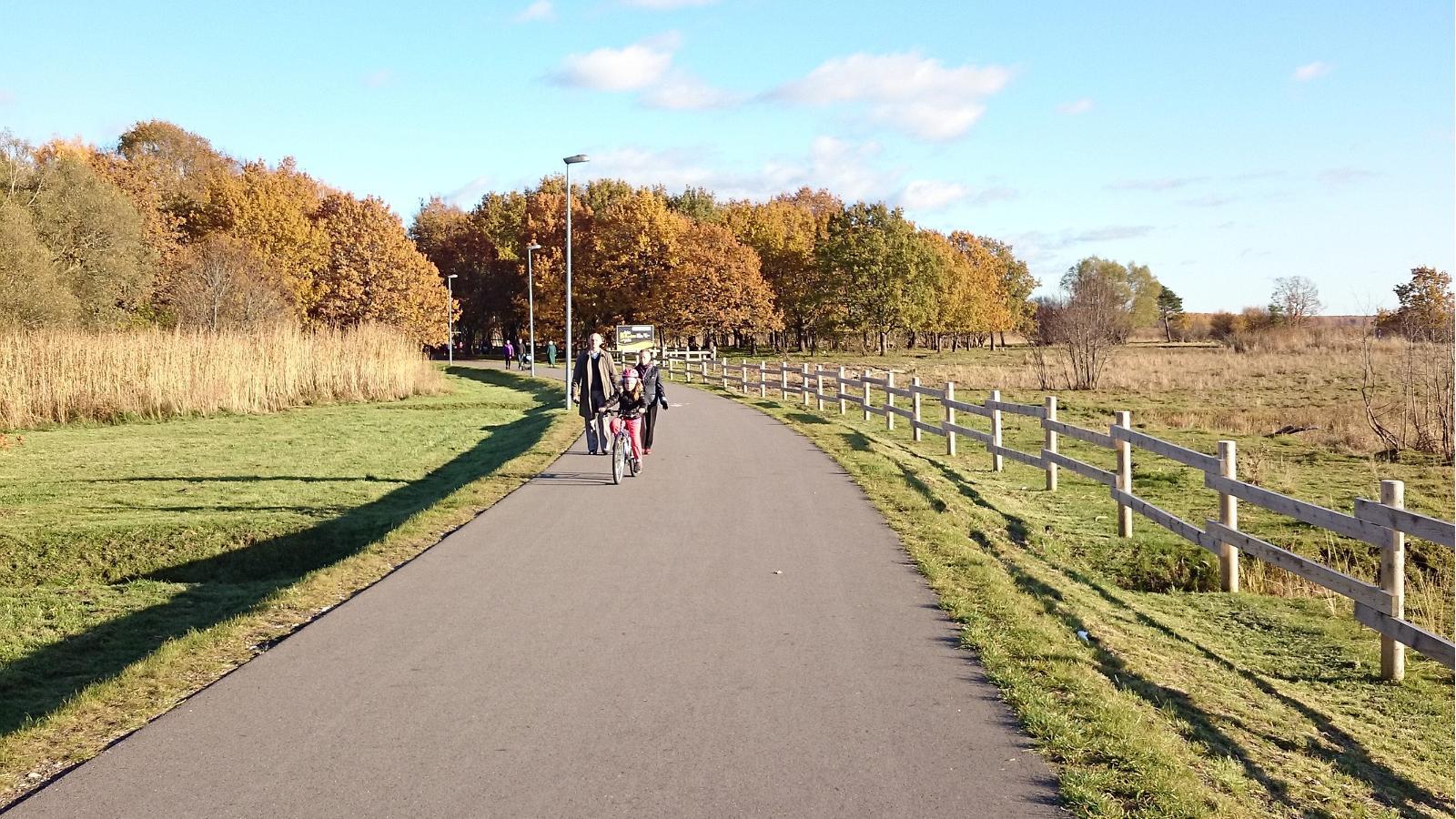 Health trail on the Pärnu Coastal Meadow Nature Reserve