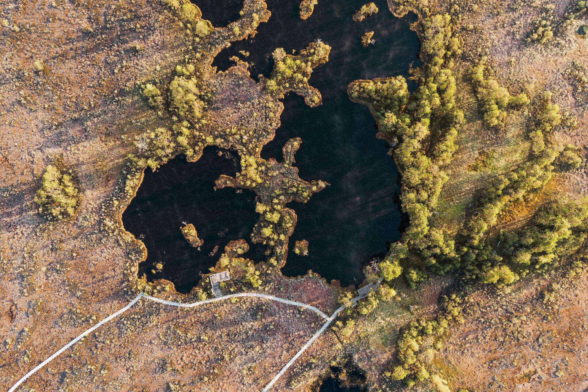 Эколого-познавательная тропа Раннаметса–Толкузе Центра управления государственными лесами