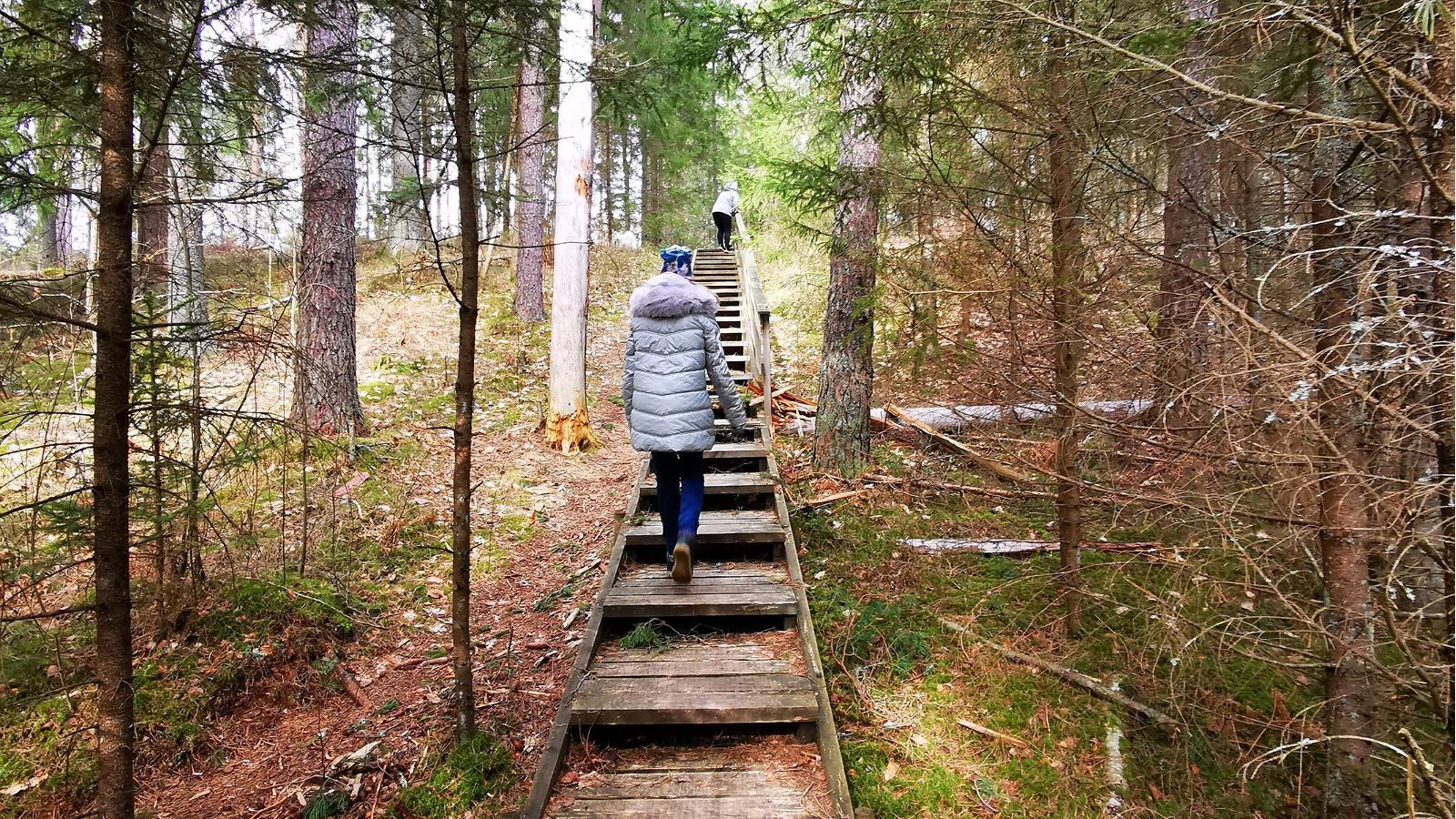 RMK Kilingi-Nõmme hiking trail