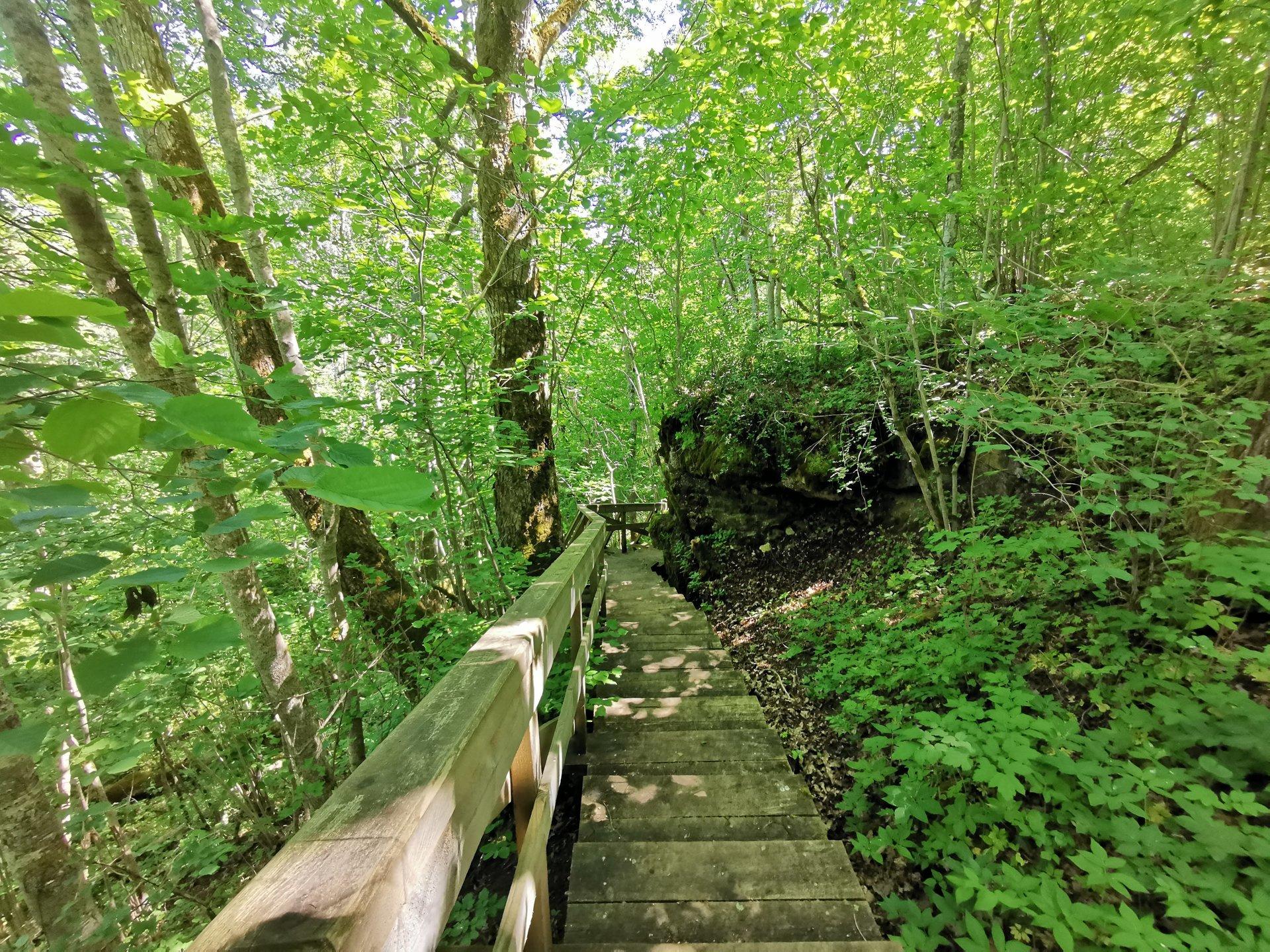 Salevere hiking trail