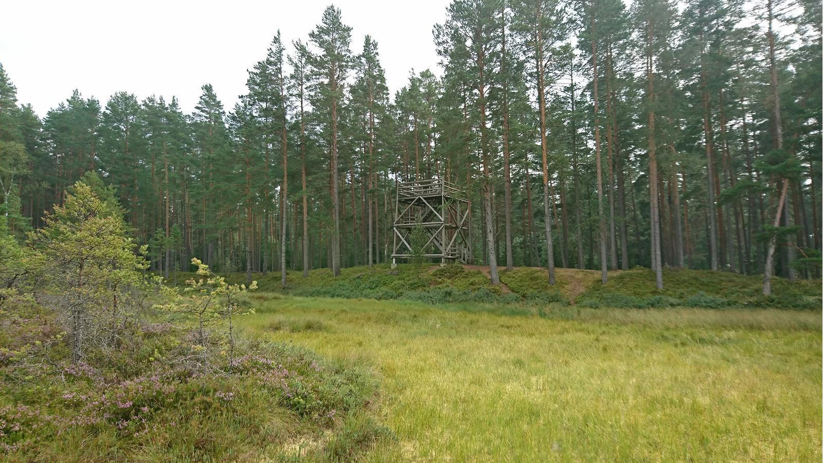Lindi Nature Conservation Area observation tower