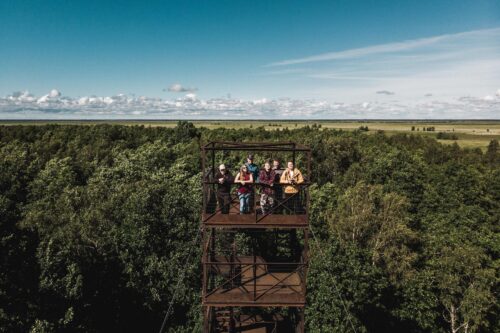 Туристическая тропа и смотровая вышка Суйтсу Центра управления государственными лесами