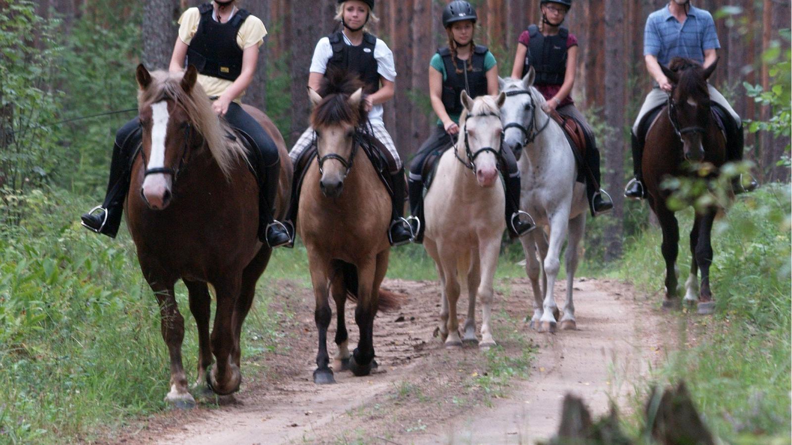 Marian ratsastuskeskus - hevosilla Marian tilan poluilla