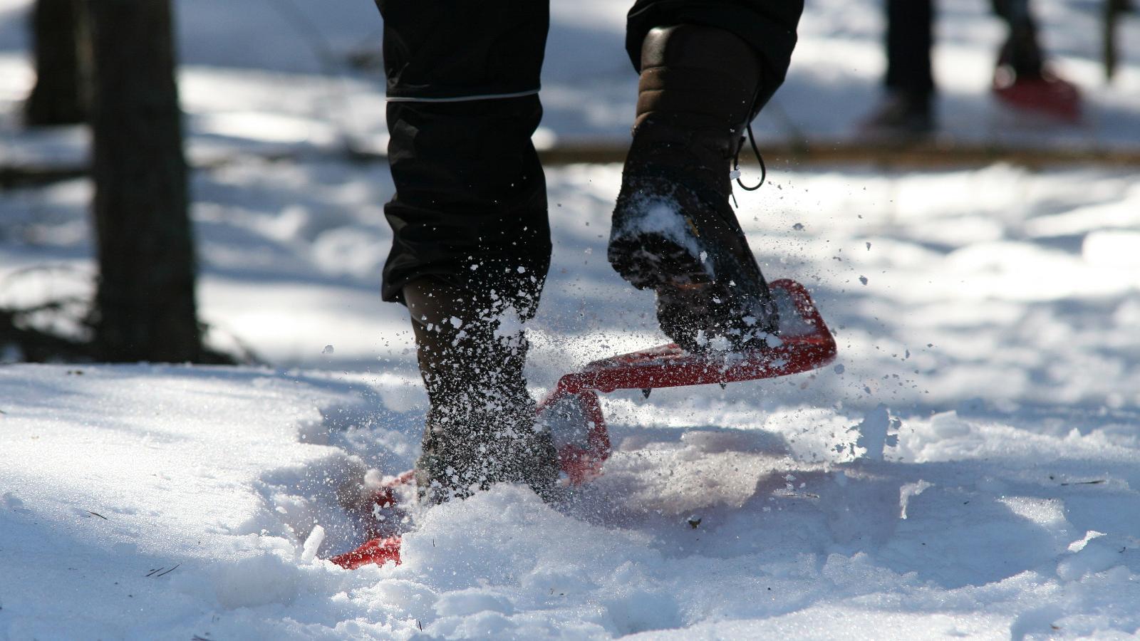 "Seikle Vabaks" piedzīvojumiem bagāts pārgājiens ar sniega kurpēm pa Tolkuses purvu