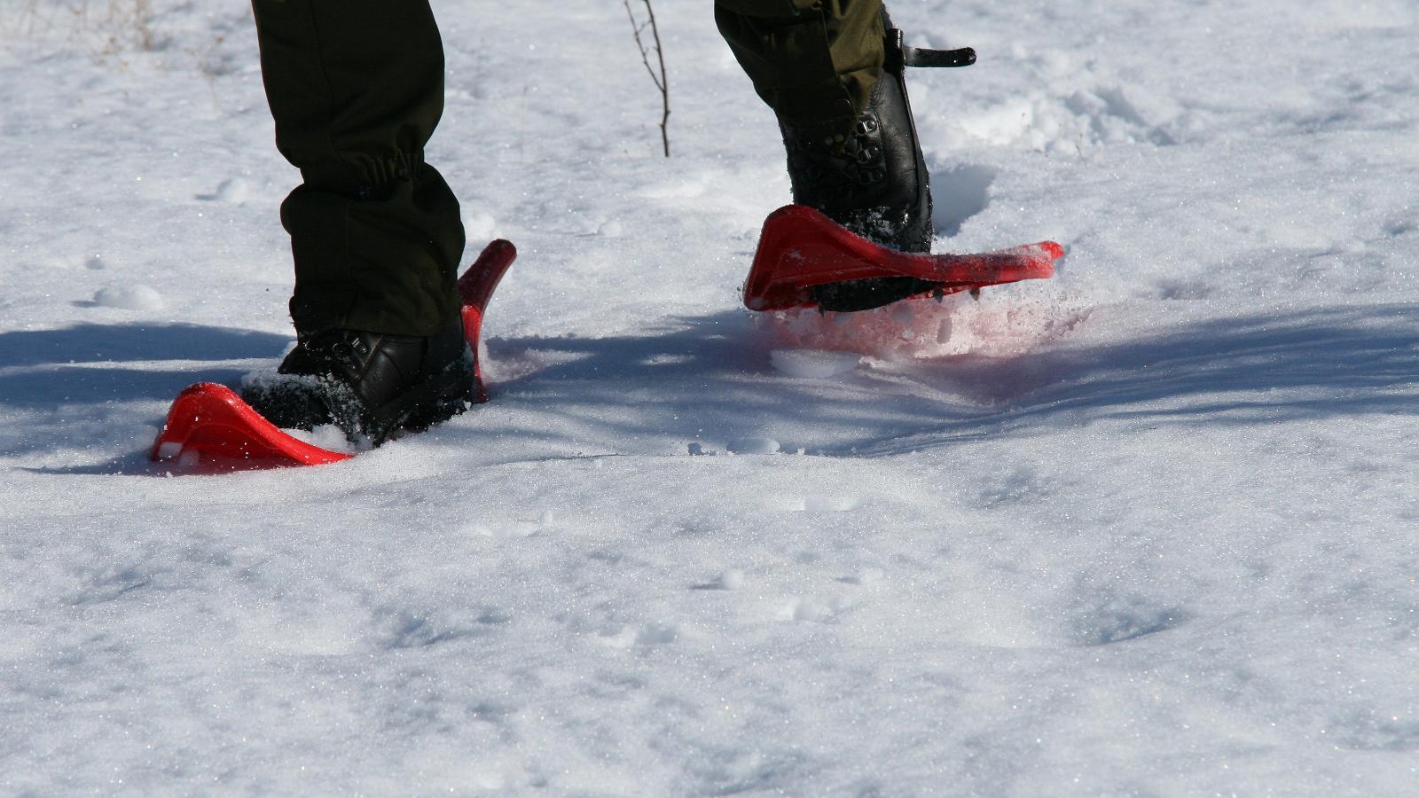 "Seikle Vabaks" pārgājiens ar sniega kurpēm Rēmas purvā