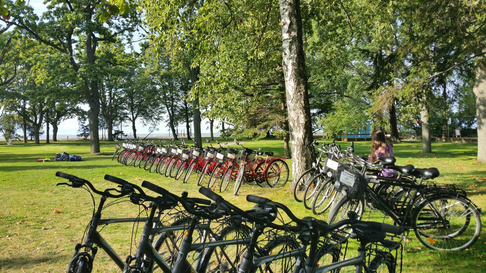 Baltreiseni jalgrattarent Pärnu kesklinnas