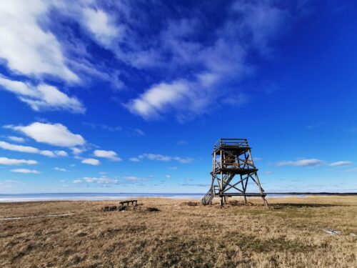 Vana-Pärnu linnuvaatlustorn