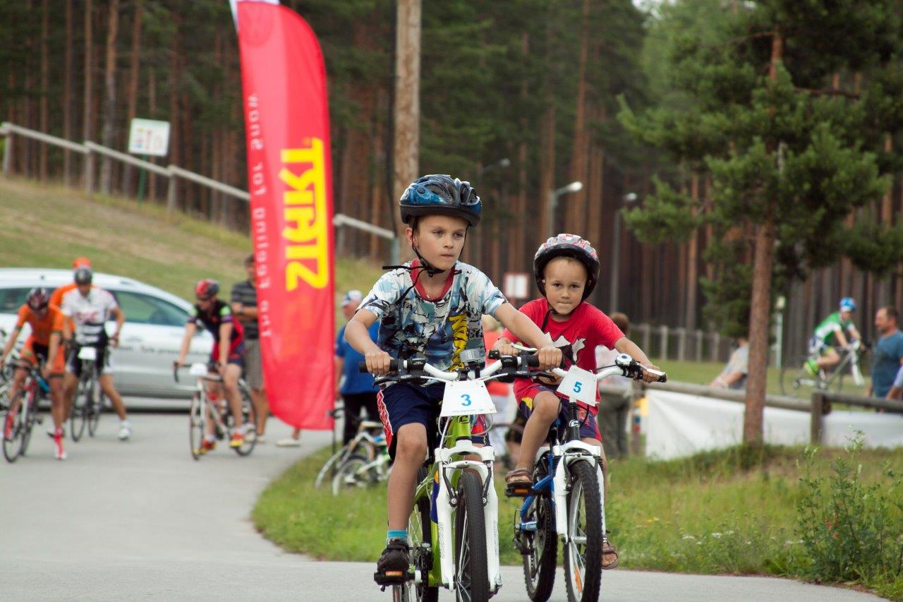 Mountain bike trails in the pine forests of Jõulumäe Sports and Recreation Centre