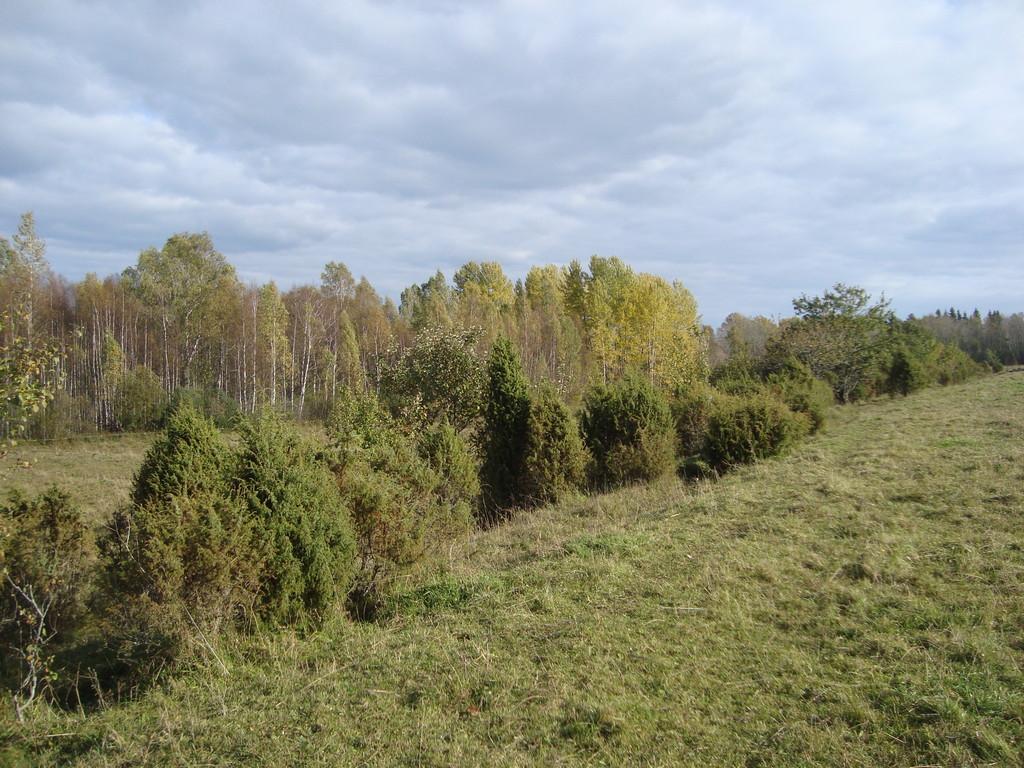 Пейзаж к северо-востоку от деревни Куресе