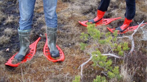 Seikle Vabaks bog-shoe hike to Toonoja swamp island in the Soomaa National Park