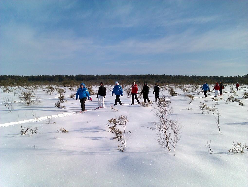 Bog shoe hike in Soomaa National Park in winter