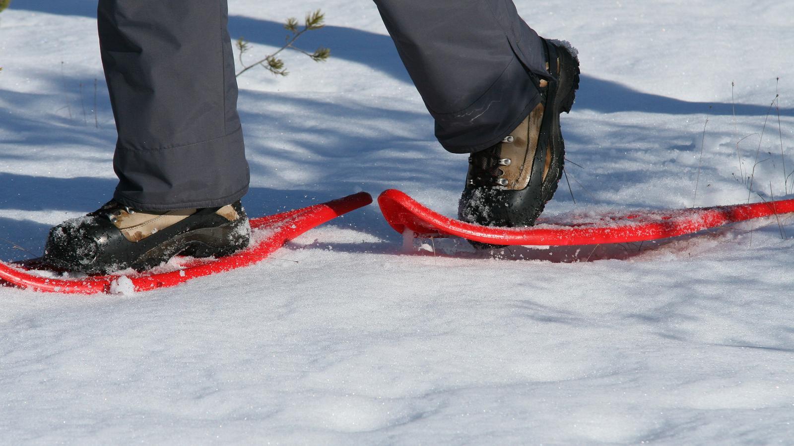 Piedzīvojumiem bagāts pārgājiens ar sniega kurpēm uz Tonojas purva salu, kas atrodas Somā Nacionālajā parkā
