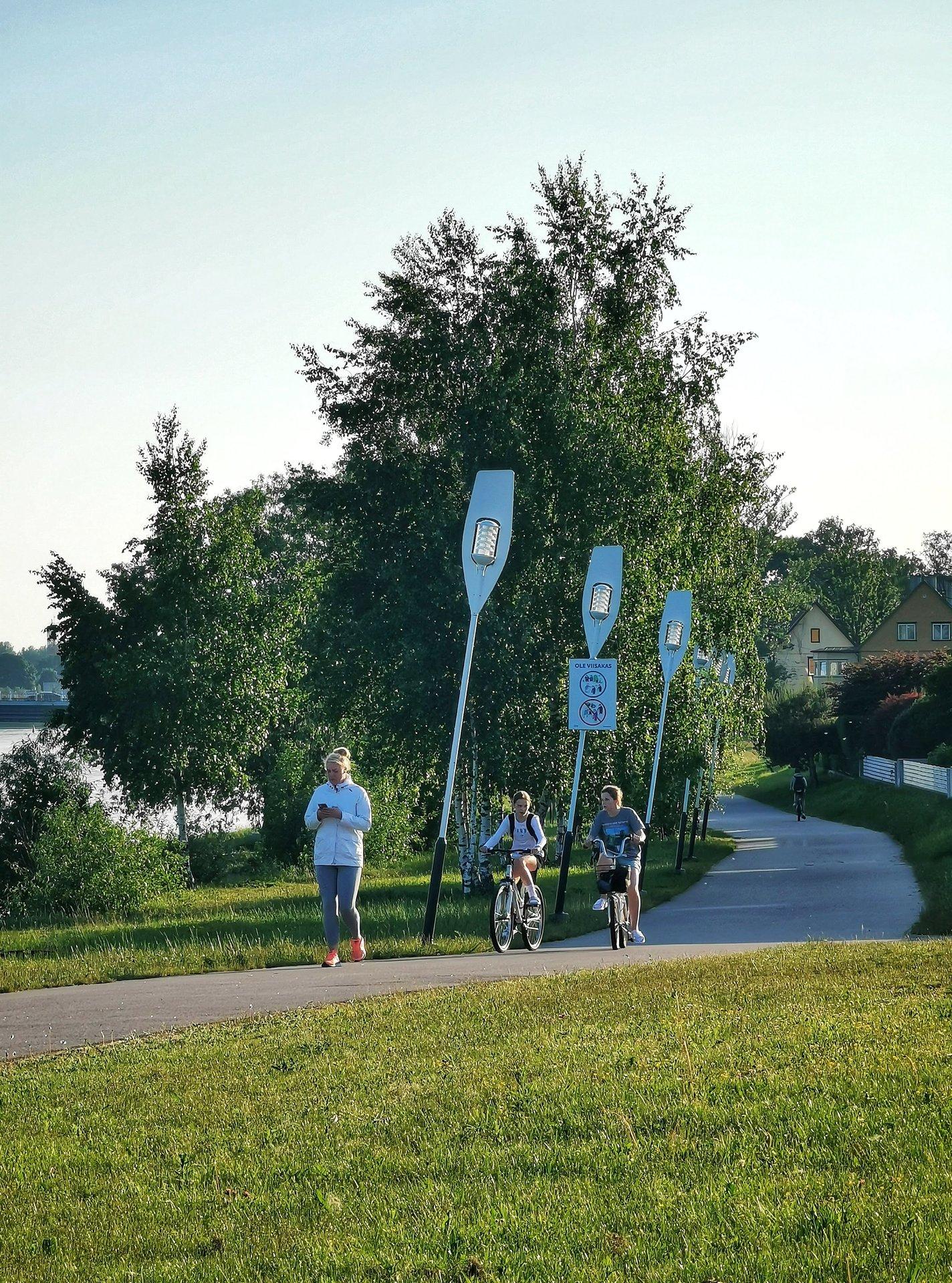 Health track on the right bank of the River Pärnu, or Jaanson's Track