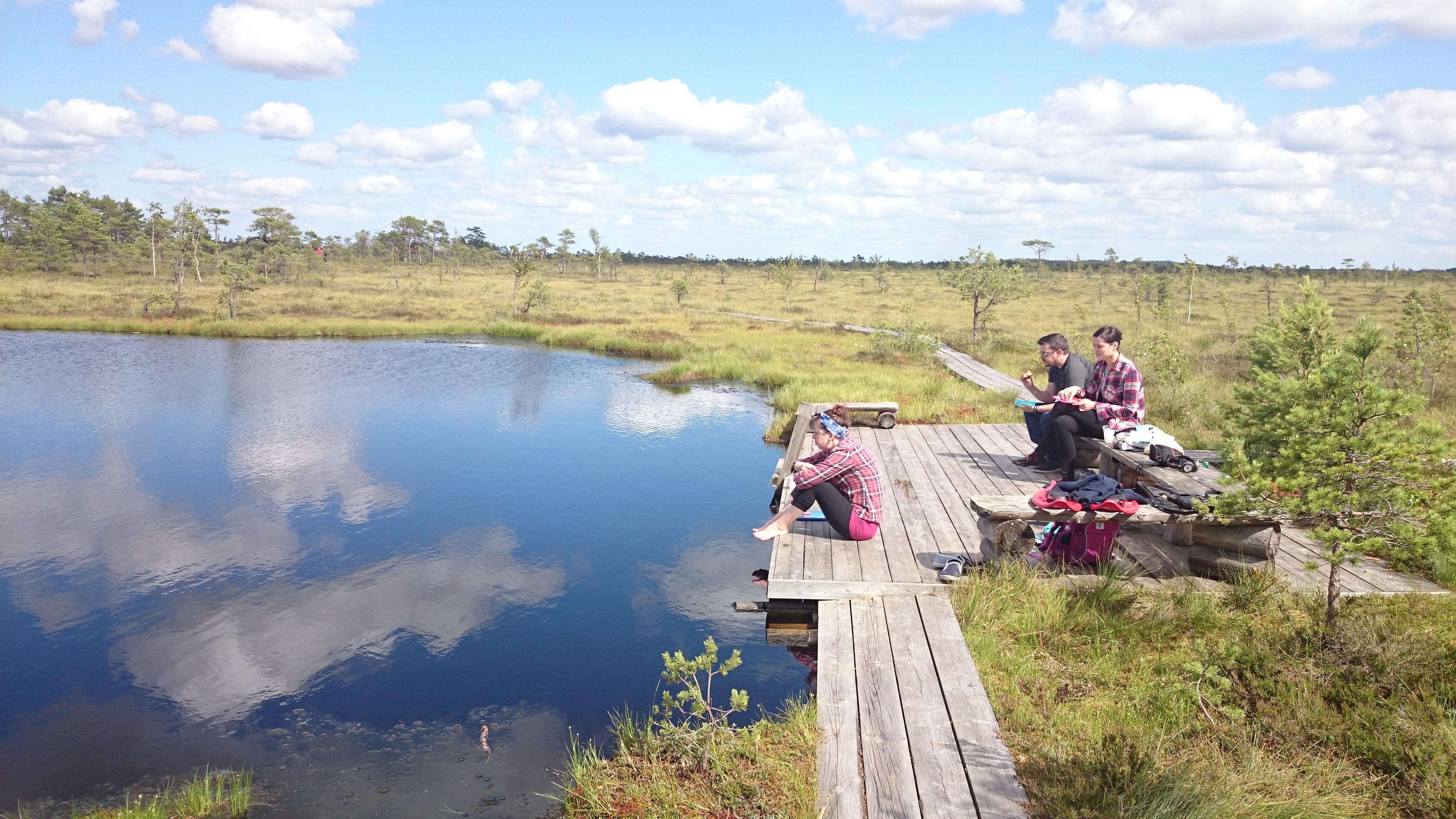 Сытный обед около болотного озера в национальном парке Соомаа