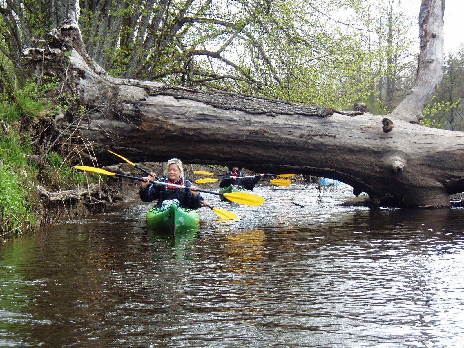 A kayak trip on the rivers of Soomaa National Park