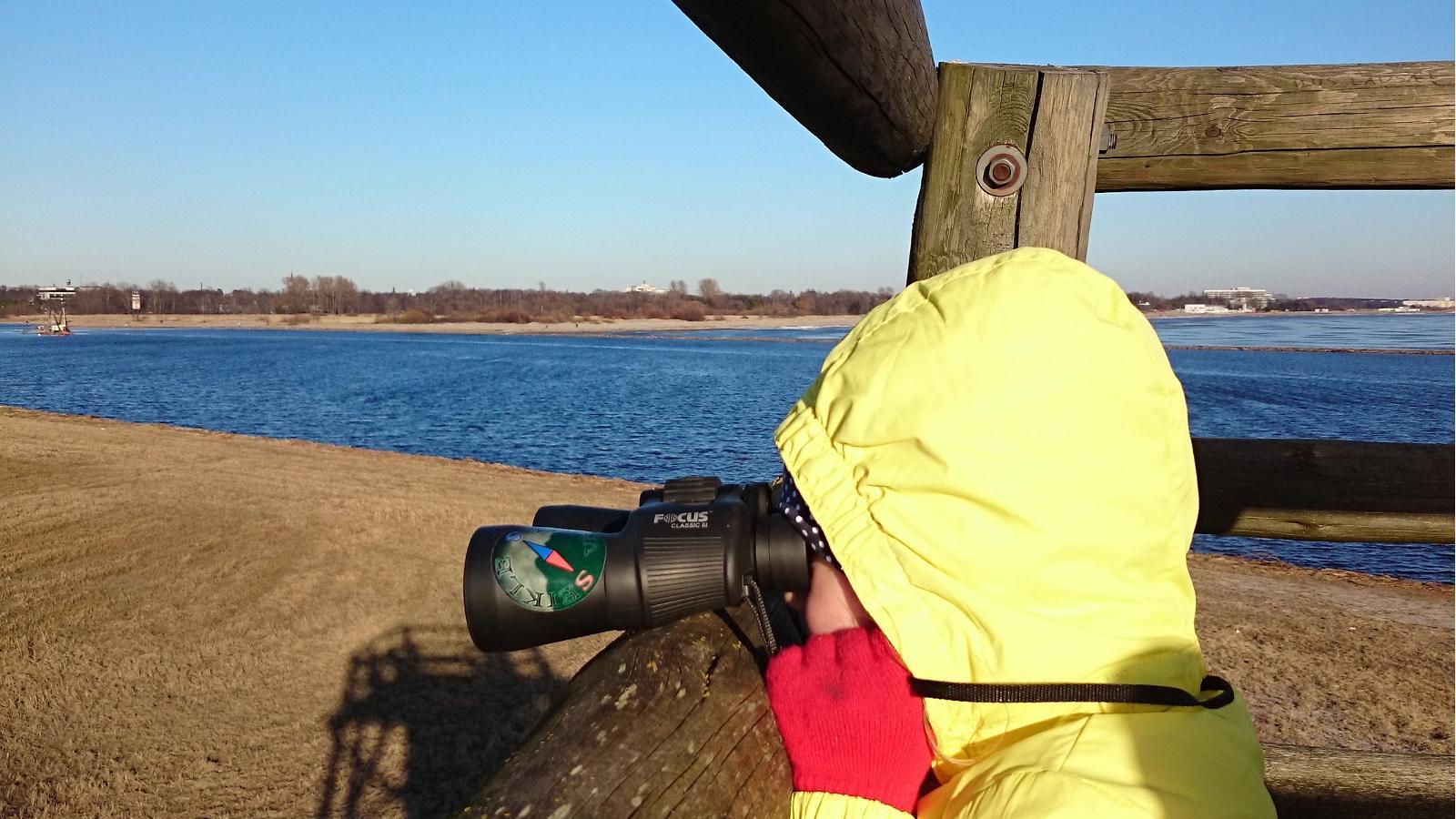 Наблюдение за птицами на северном побережье Пярнуского залива от Seikle Vabaks