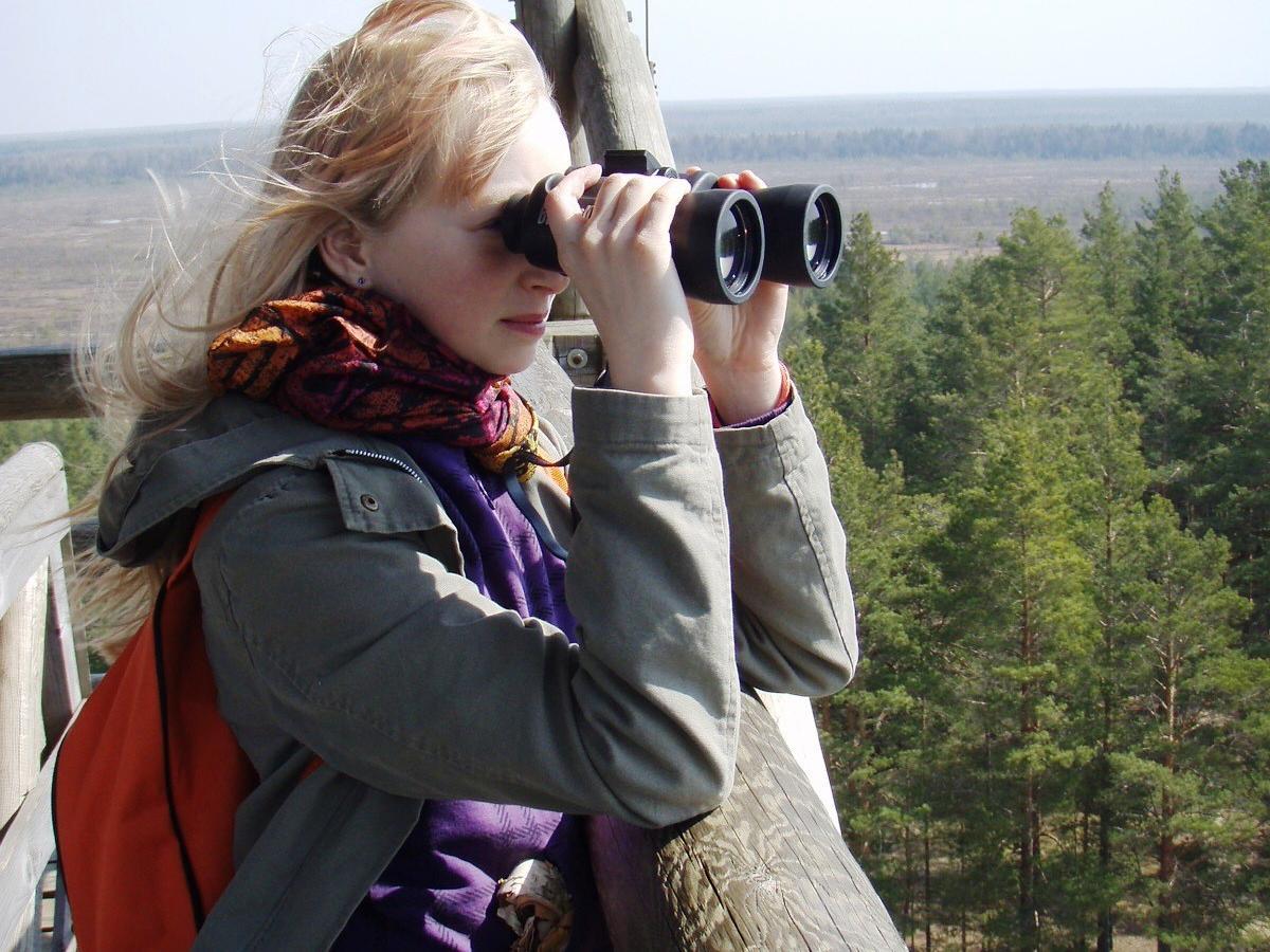 Seikle Vabaks birdwatching on the north coast of Pärnu Bay