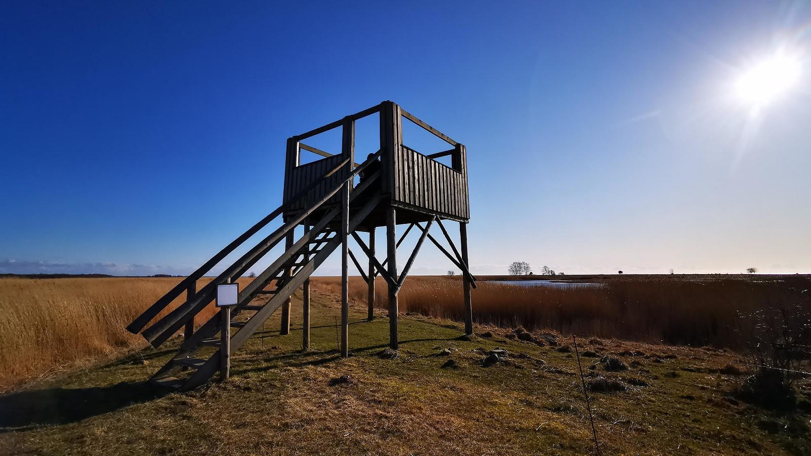 Башни для наблюдения за птицами у прудов Пикла