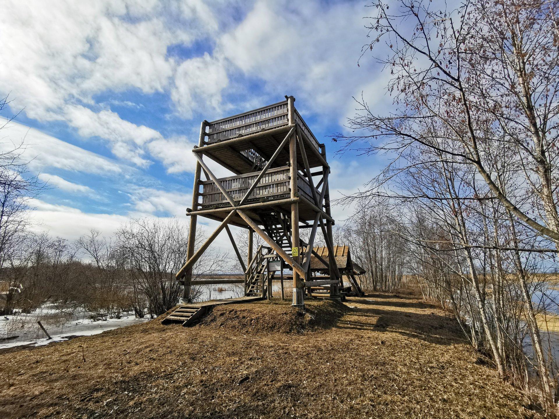 Penijõe linnuvaatlustorn