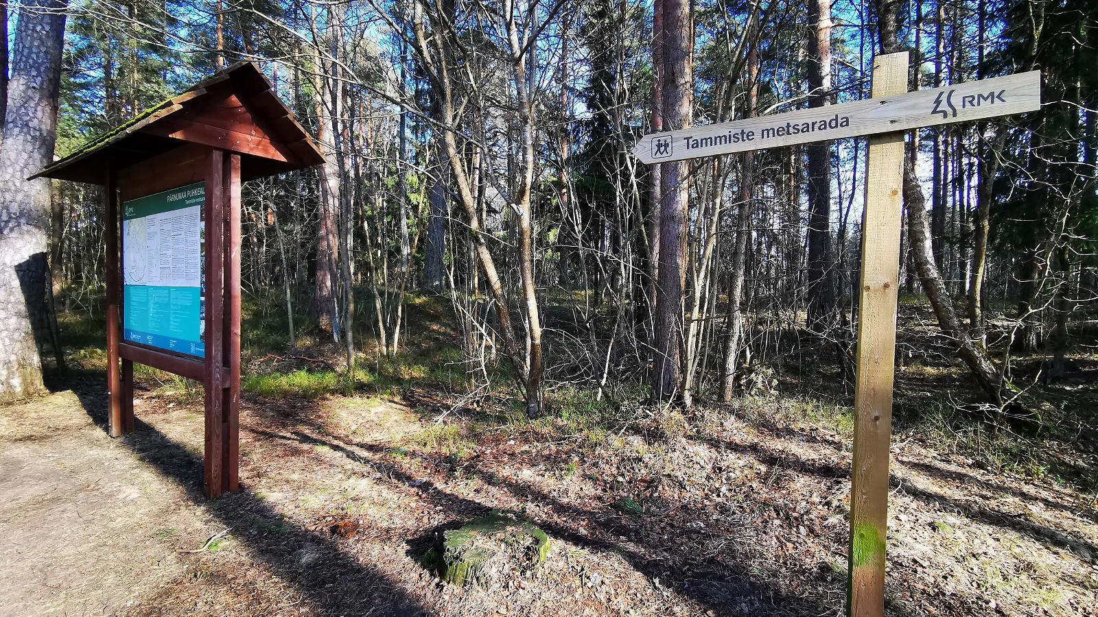 Tammiste forest trail and campfire site