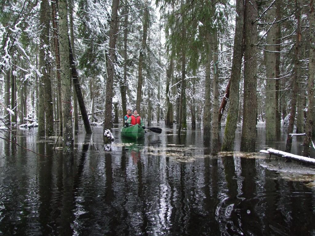 Kanuumatkad Soomaa rahvuspargi üleujutusalal