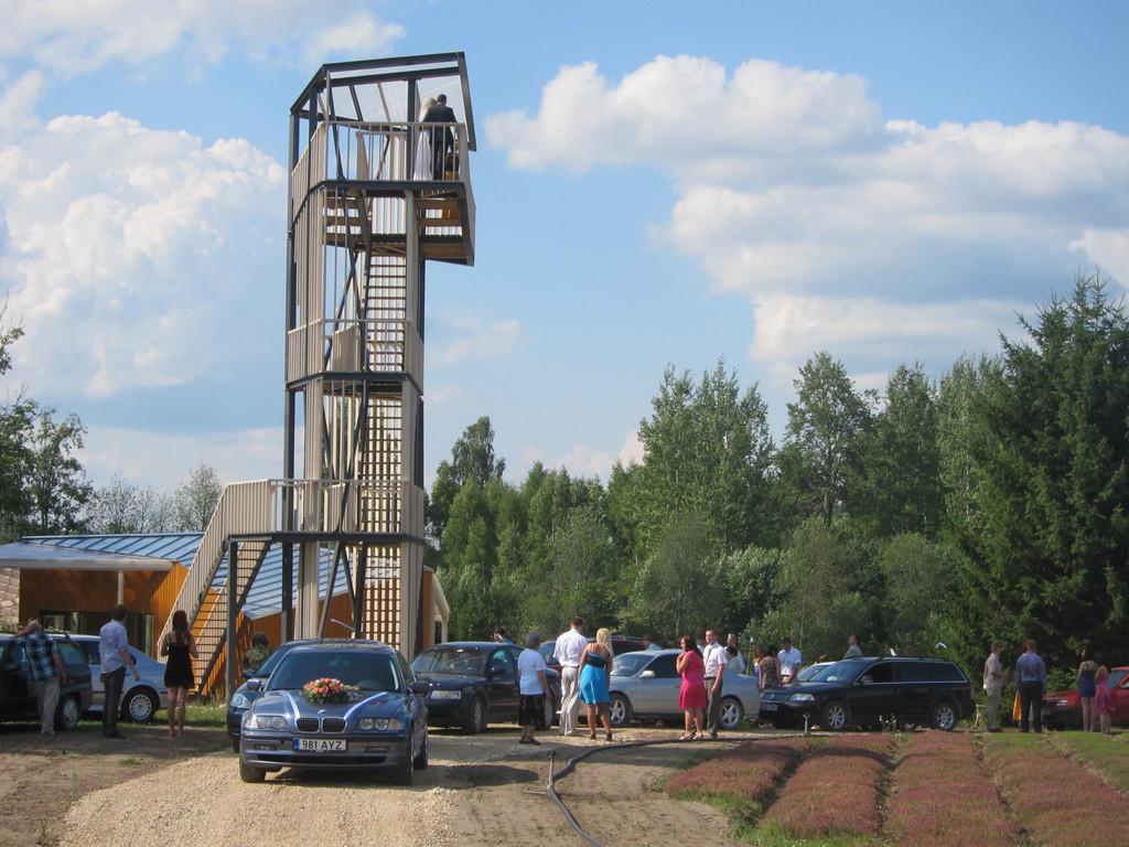 Energy Farm teahouse and viewing tower