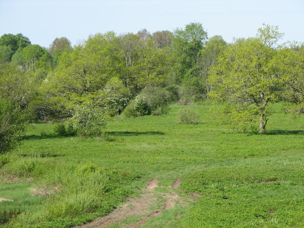 Tõramaa wooded meadow trail