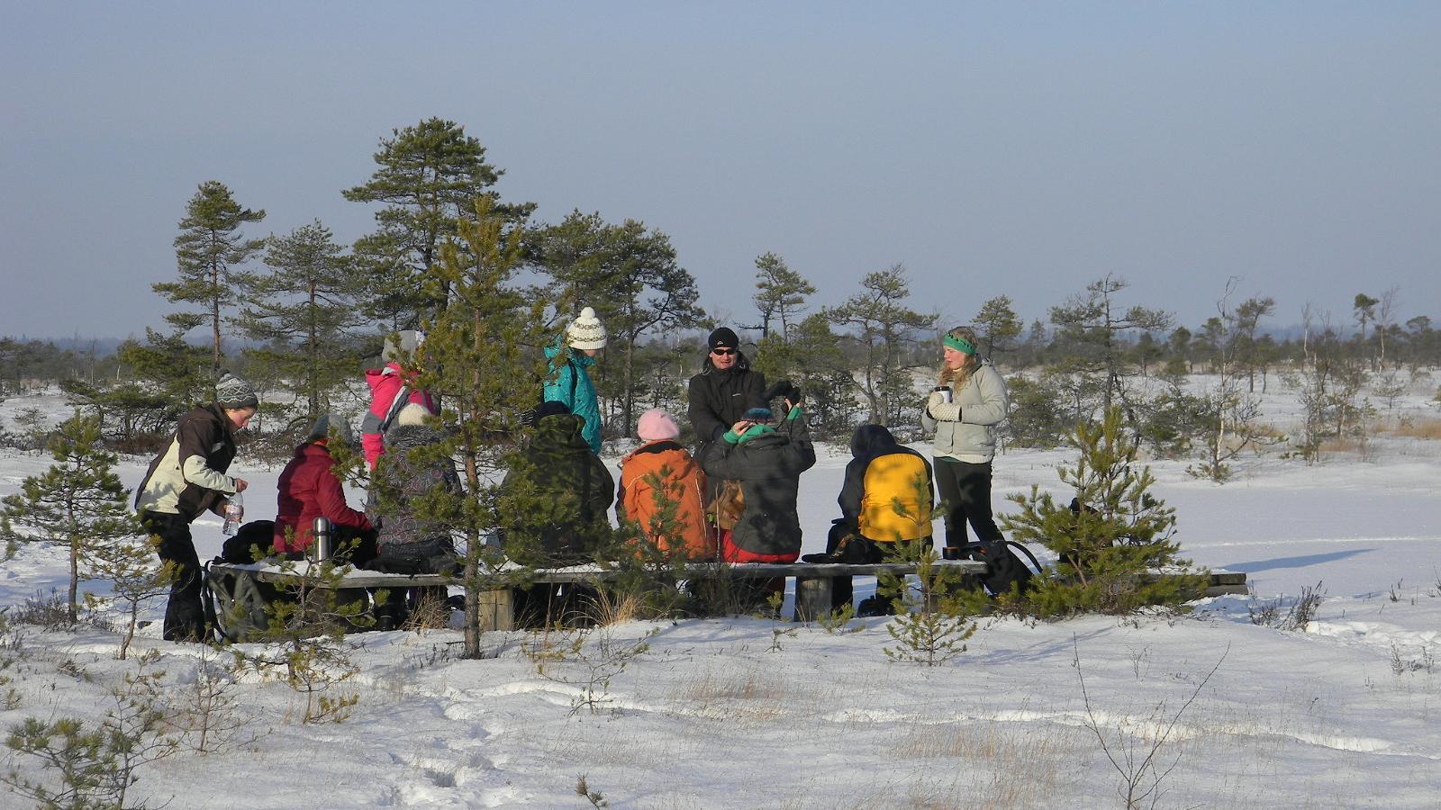 A hike in the bog during winter