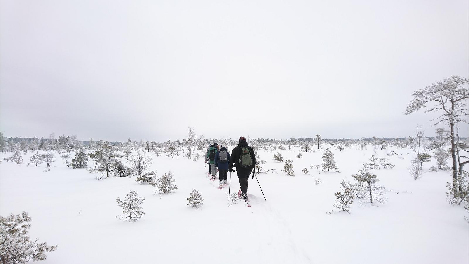 Seikle Vabaks – snowshoe hike in Soomaa National Park