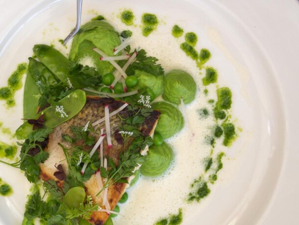 Vegan Restoran Pärnus